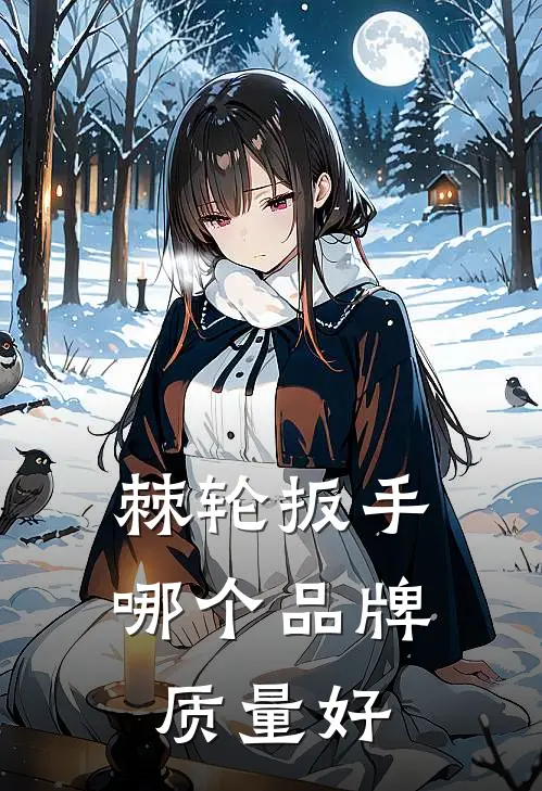 棘轮扳手哪个品牌质量好