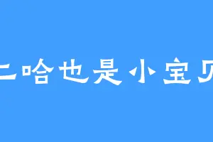 二哈也是小宝贝