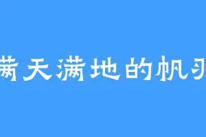 满天满地的帆羽