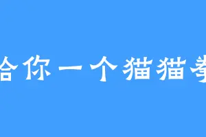 给你一个猫猫拳