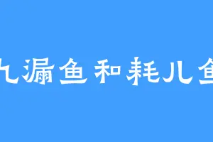 九漏鱼和耗儿鱼