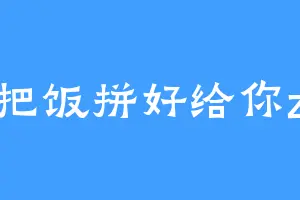 把饭拼好给你z