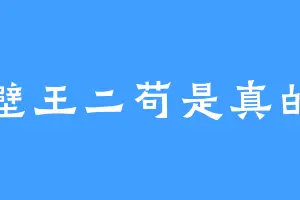 隔壁王二苟是真的苟