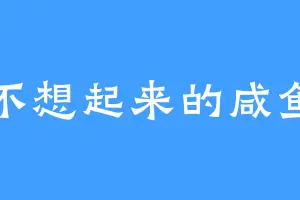 不想起来的咸鱼
