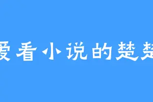 爱看小说的楚楚