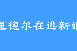 里德尔在逃新娘