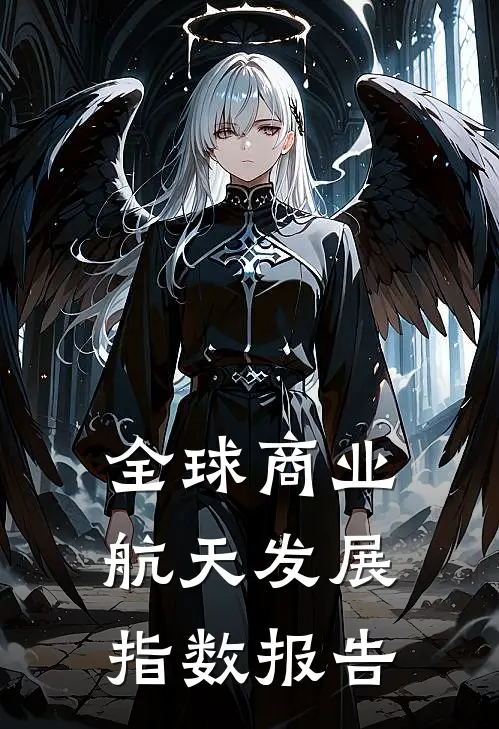 全球商业航天发展指数报告