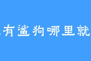 哪里有鲨狗哪里就有我