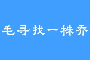 三毛寻找一株乔木