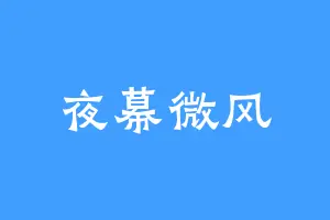 夜幕微风