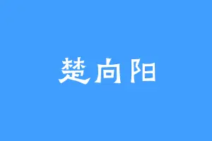 楚向阳
