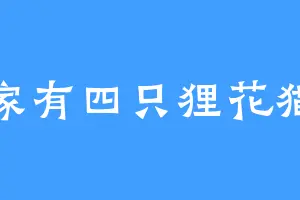 家有四只狸花猫