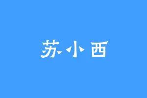 苏小西