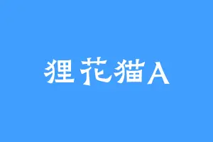 狸花猫A
