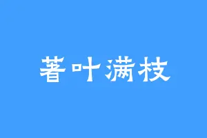 著叶满枝
