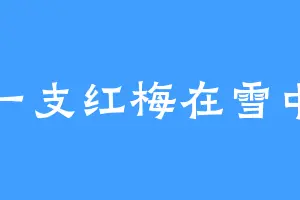 一支红梅在雪中