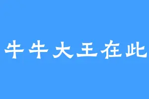 牛牛大王在此