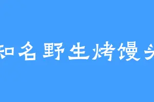 不知名野生烤馒头片