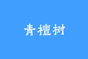 青檀树