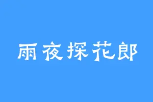 雨夜探花郎