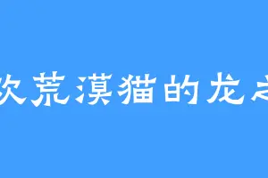 喜欢荒漠猫的龙之力