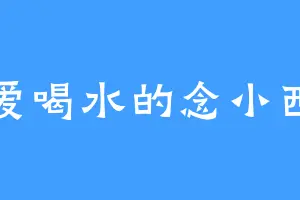 爱喝水的念小西
