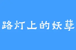 路灯上的妖孽