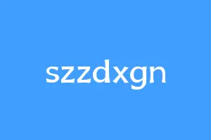 szzdxgn