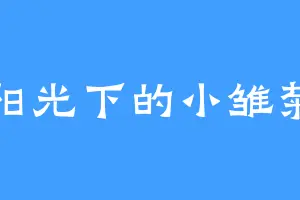 阳光下的小雏菊