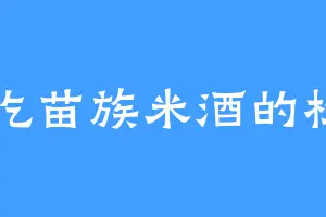 爱吃苗族米酒的杜川