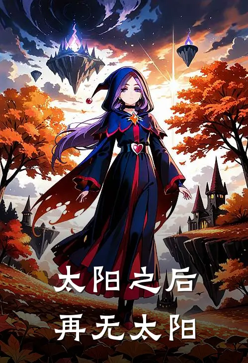 太阳之后，再无太阳