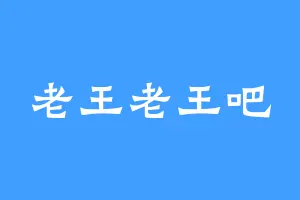 老王老王吧