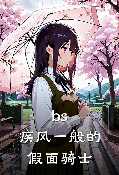 bs：疾风一般的假面骑士