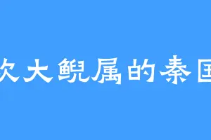 喜欢大鲵属的秦国伟