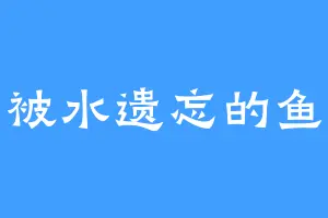 被水遗忘的鱼