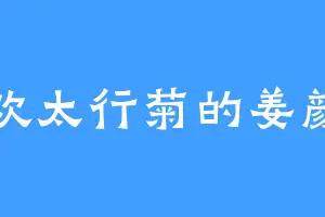 喜欢太行菊的姜颜月