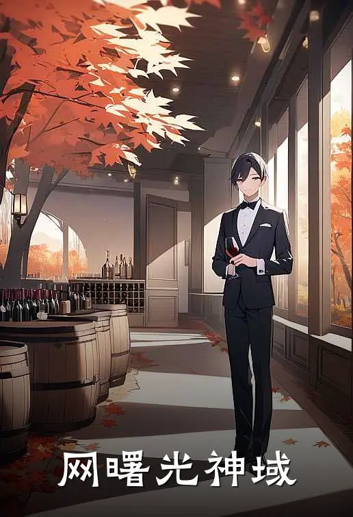 网曙光神域(林夜程风)全本完结小说_完整版免费全文阅读网曙光神域(林夜程风)