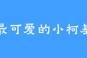 最可爱的小柯基