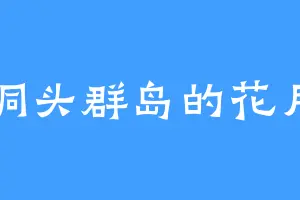 洞头群岛的花月