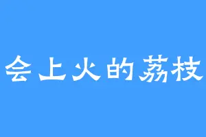 会上火的荔枝