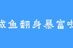 咸鱼翻身暴富啦