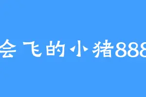 会飞的小猪888