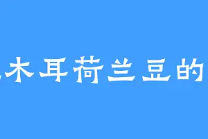 爱吃木耳荷兰豆的甄虚