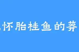爱吃怀胎桂鱼的莽古斯