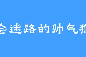 不会迷路的帅气猴子