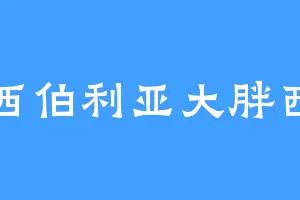 西伯利亚大胖西