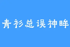 青衫总误神眸