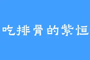 爱吃排骨的紫恒兄