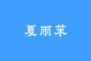 夏雨茉
