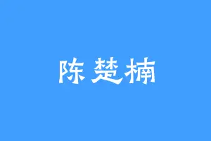 陈楚楠